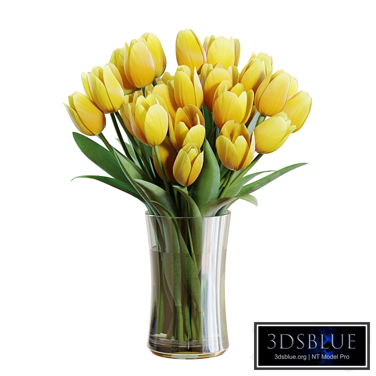 Flower Set 26 / Yellow Tulips Bouquet