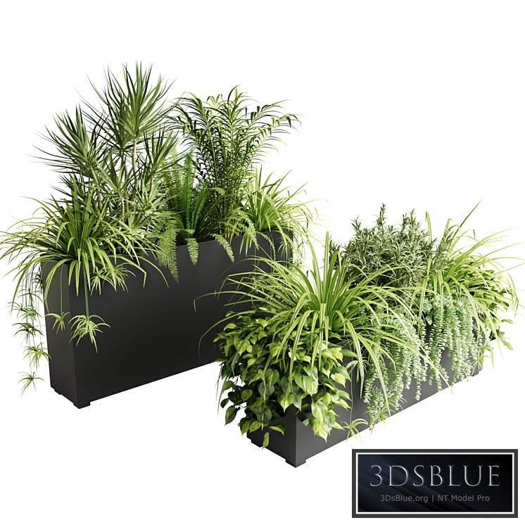 Indoor plants in outdoor boxes