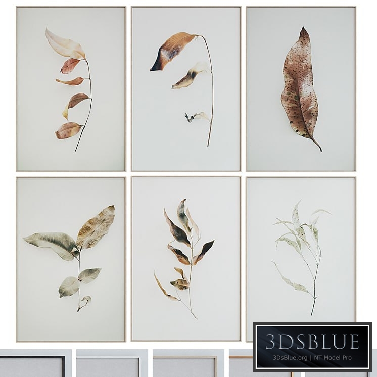 Picture Frame Set 1005