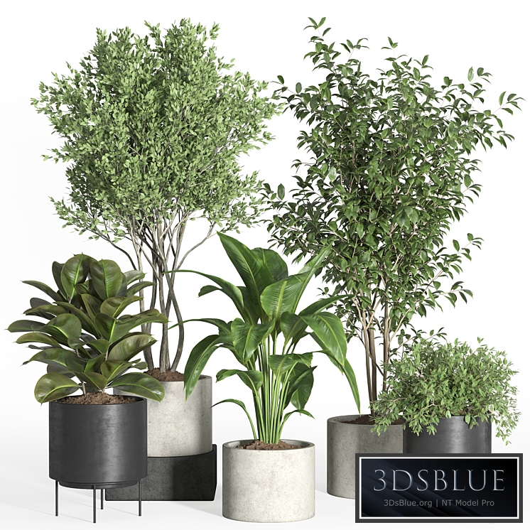 indoor plant set 35-concrete and metal pot