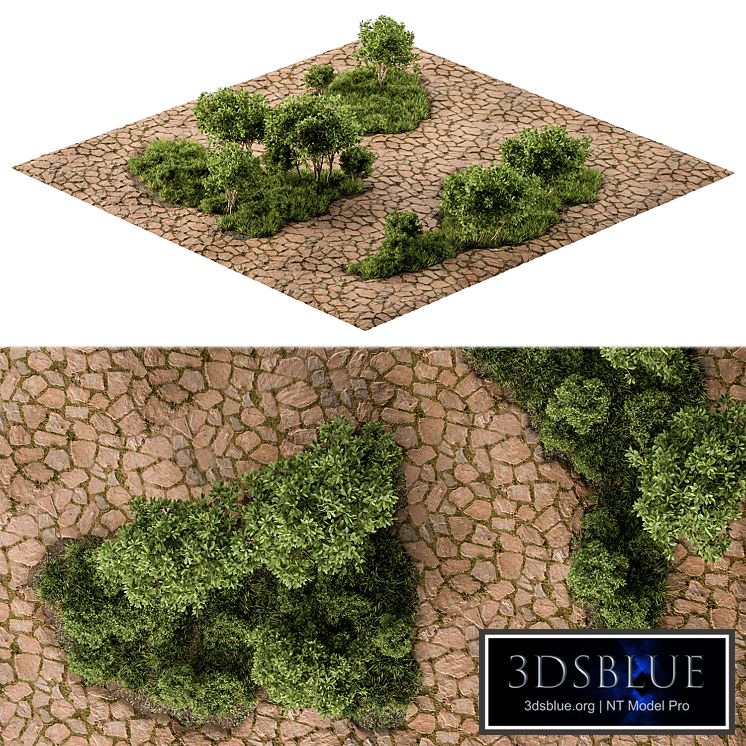 Urban and Environment Element Set 49