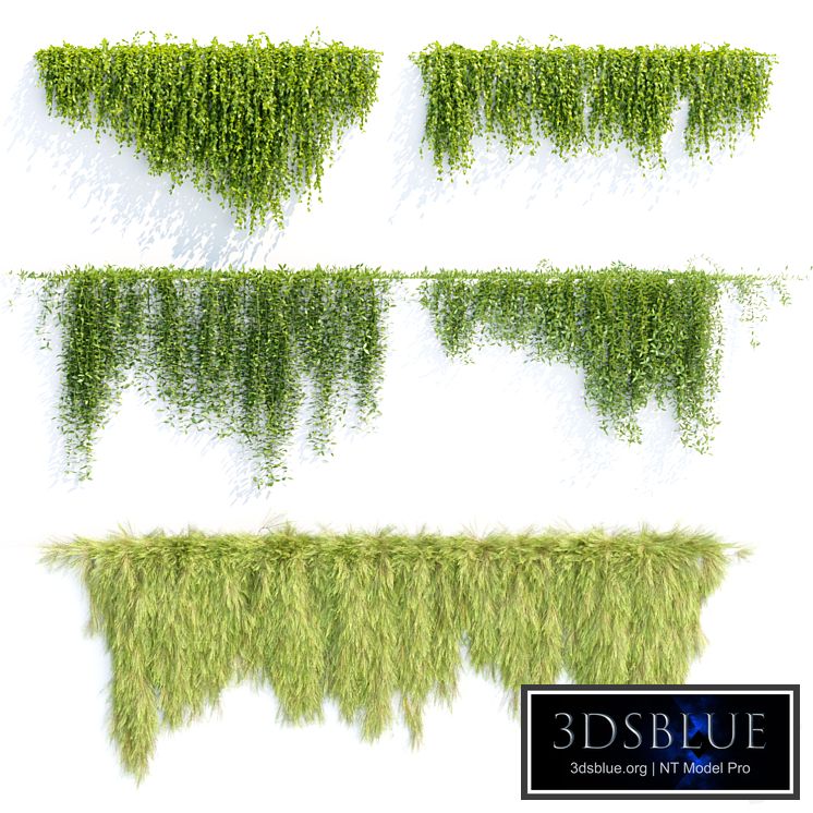 Creeper plants for wall collection vol 144