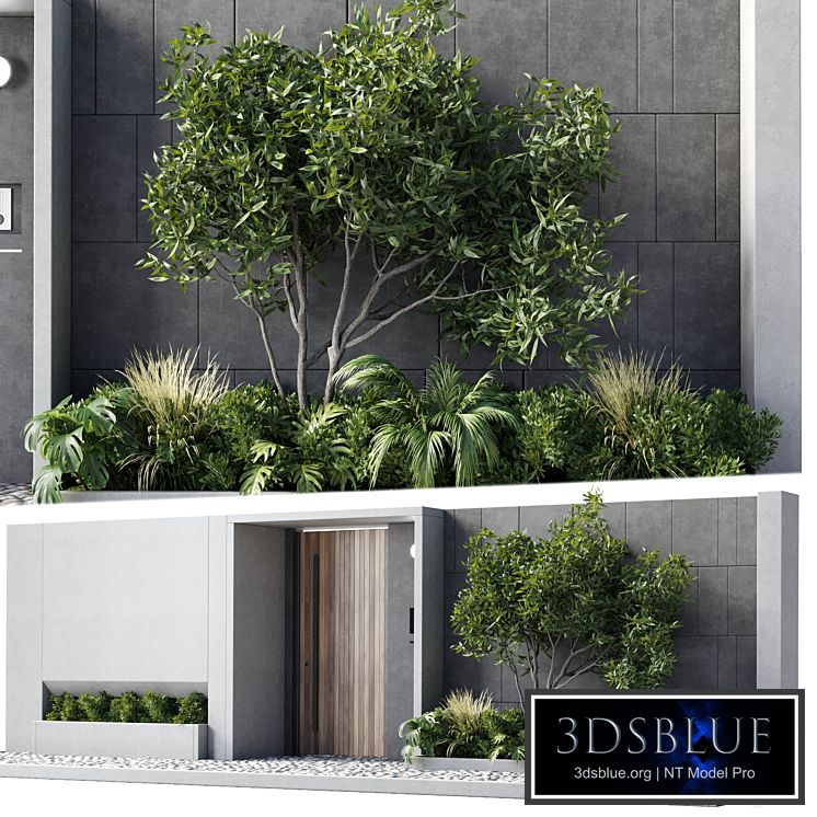 Door outdoor entrance and fence and graden 05