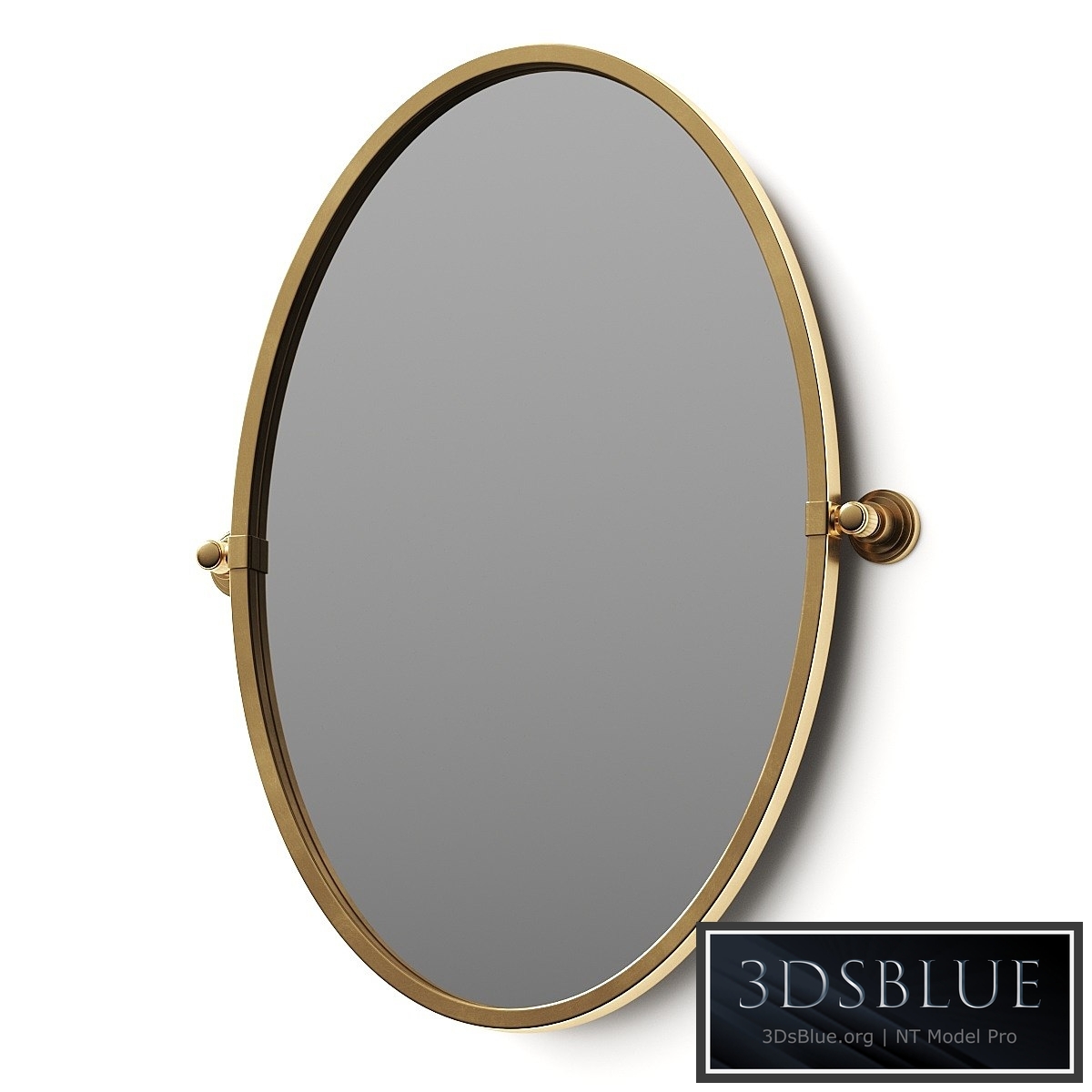 Rejuvenation Rigdon Oval Pivot Mirror