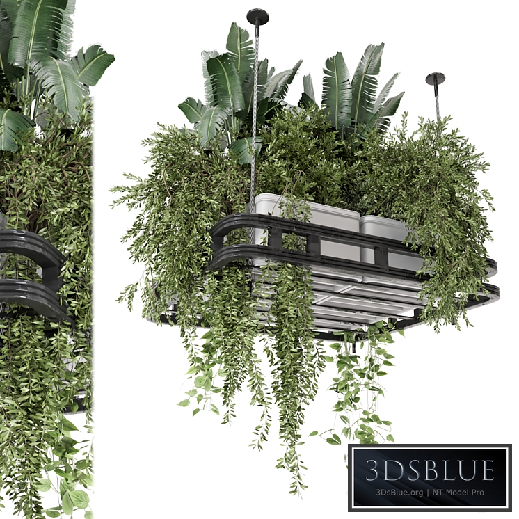 Hanging Plants Set in Concrete Pot - Set 1113