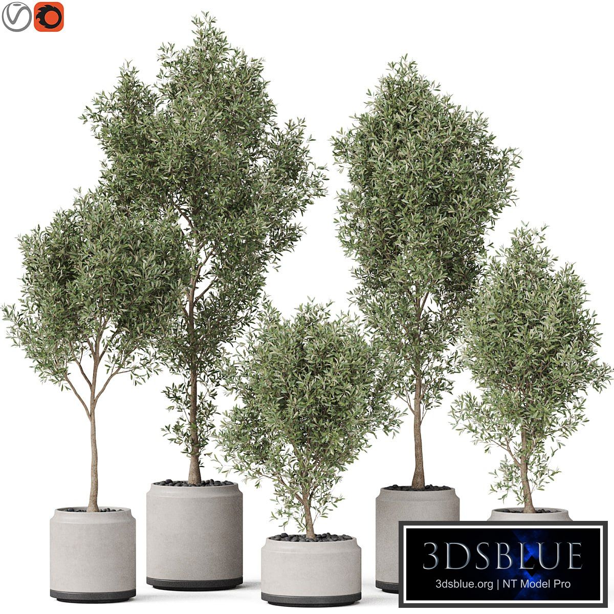 Plants collection 846