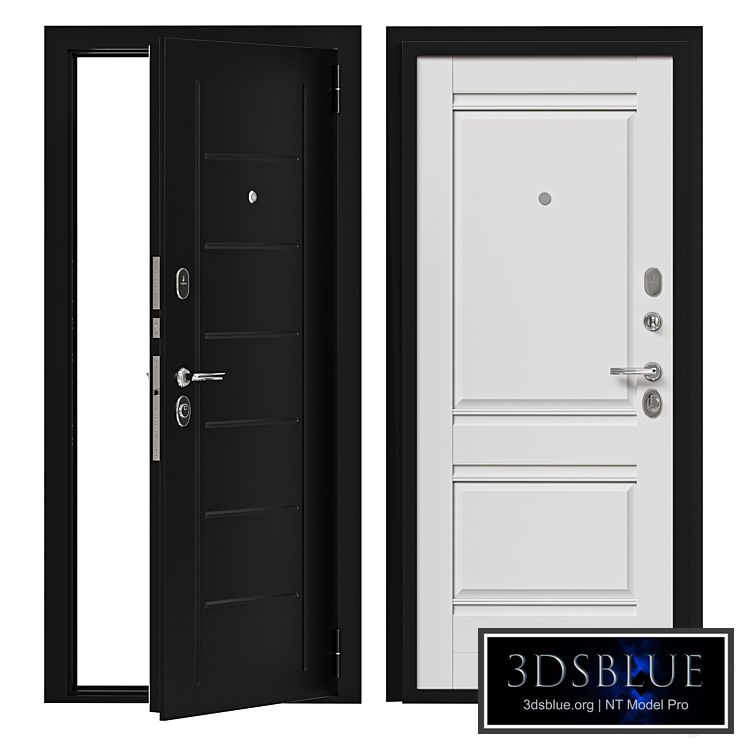 Entrance metal door Bravo