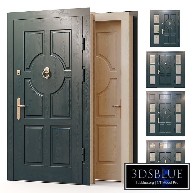 Entrance door for the main entrance 01