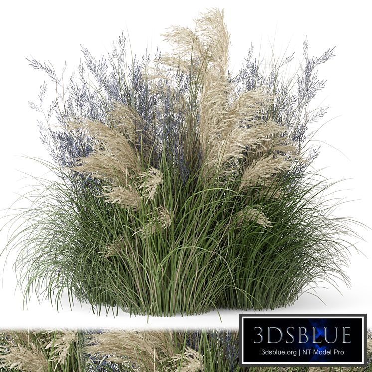 Outdoor Plants Bush-Bush Set 1135