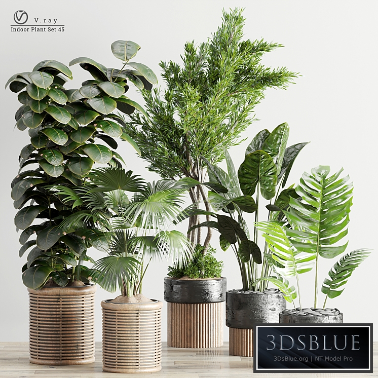 Indoor Plants in Ferm Living Bau Pot Large - Set 45