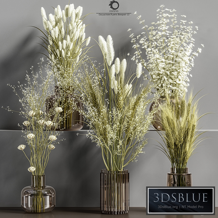 Collaction Plants Bouquet 13(corona)