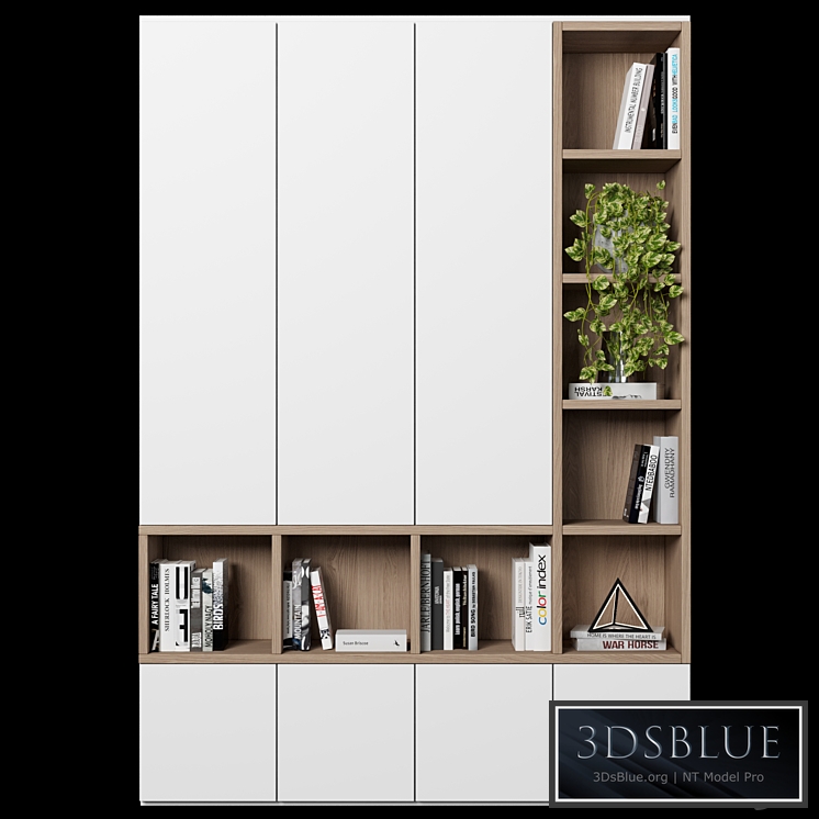 Cabinet with shelves 48