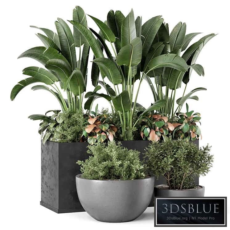 Outdoor Garden set Bush and Tree - Garden Set 1144