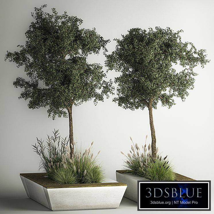 A collection of trees and bushes in flowerpots and a bench for interior and exterior decor, shopping center. 1129