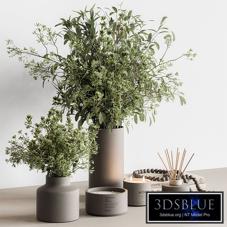 Vase and Plant Decorative Set - Set 126