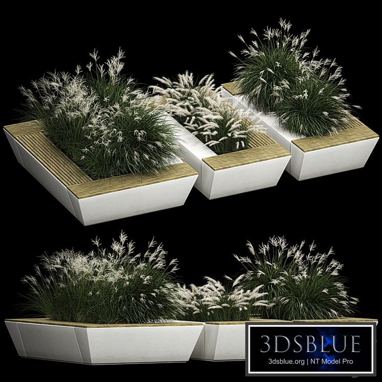 Concrete flower bed bench with bushes from Miscanthus and feather grass grass for the urban environment, bench. 1133.