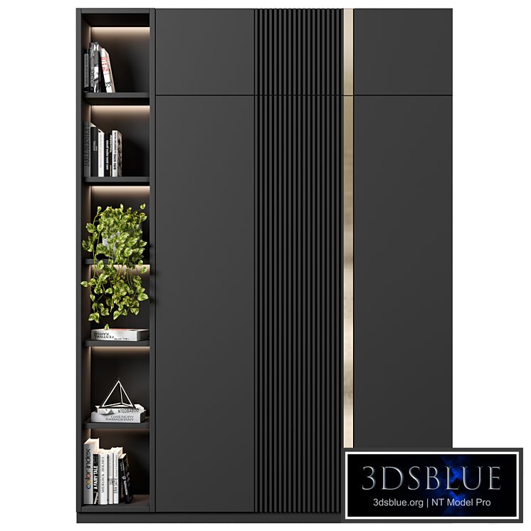 Cabinet with shelves 51