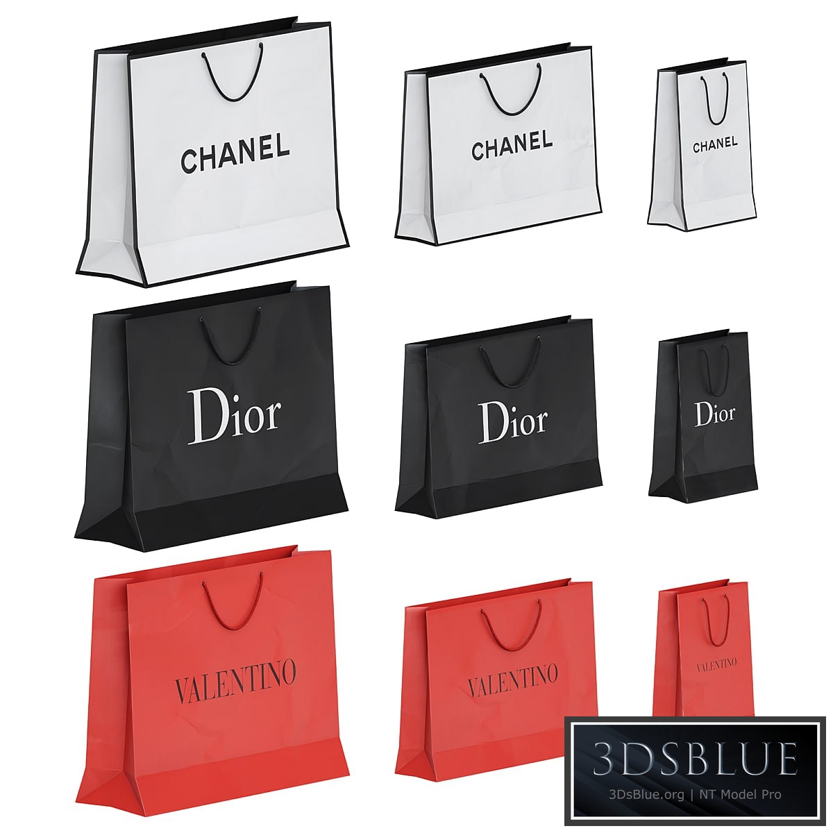 Set of Brand Shopping Bags 2