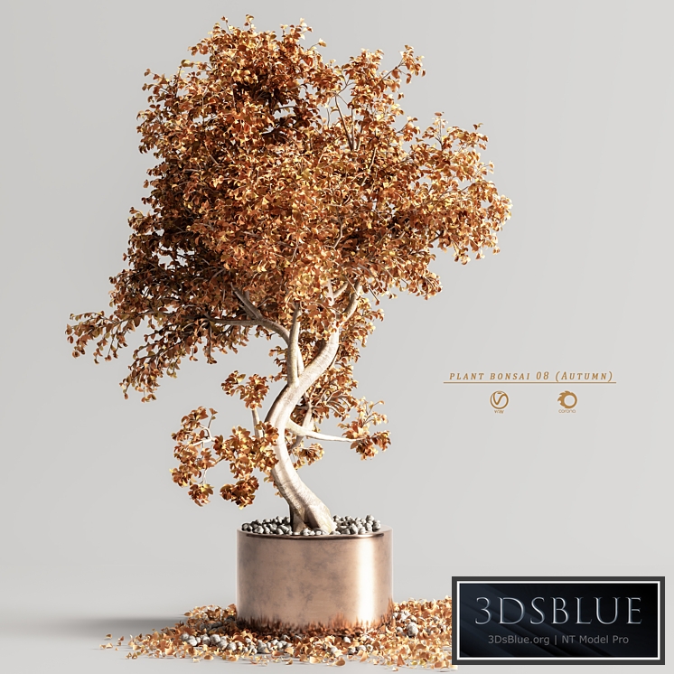 plant bonsai 08 (Autumn)