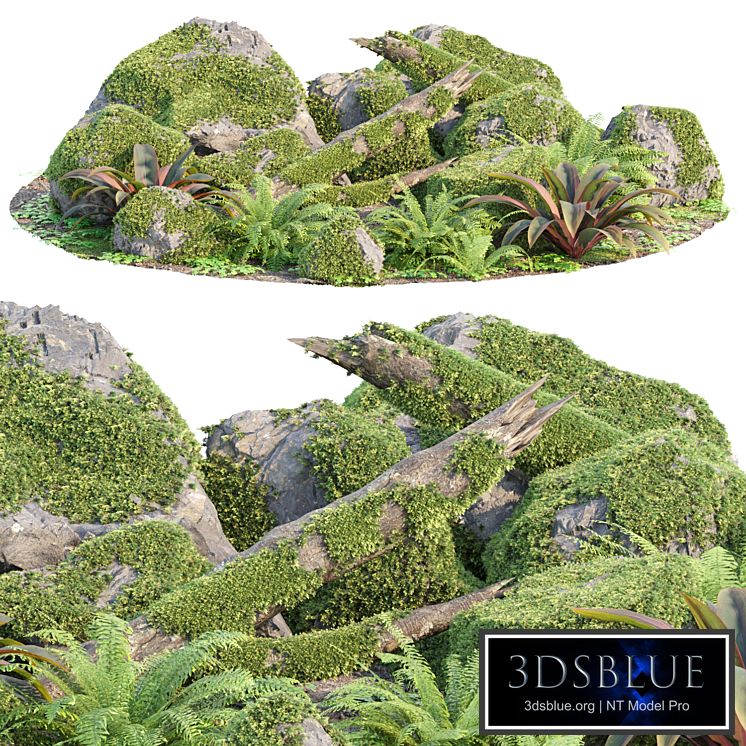 Mossy Garden Asset collection vol 156