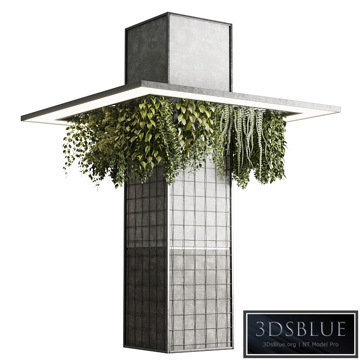 Column plant - pillar plant 05