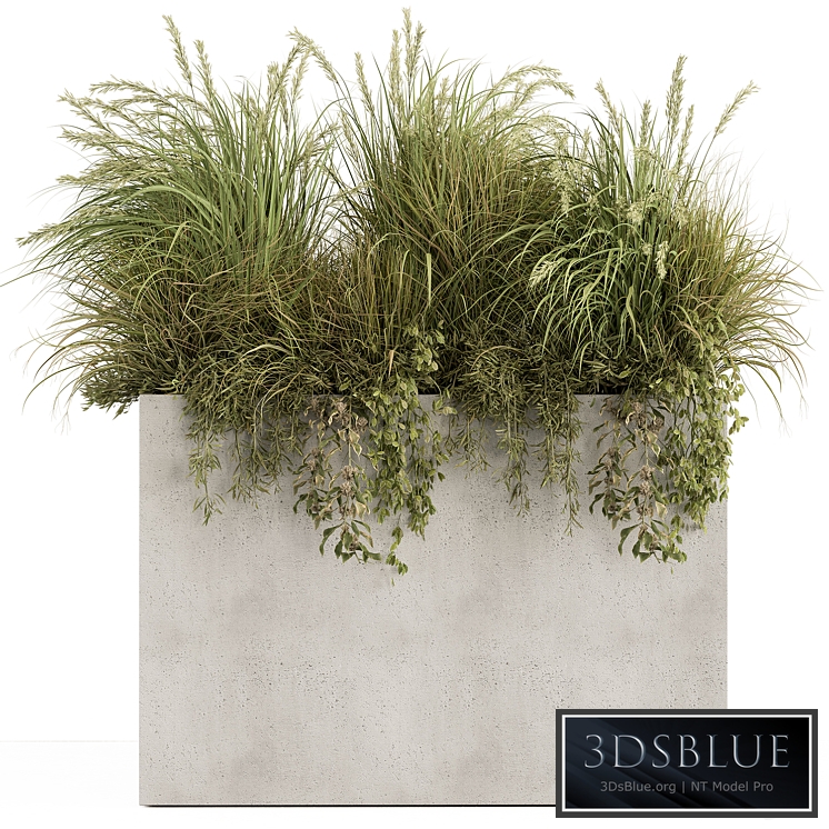 Plant Box - Outdoor Plants 480