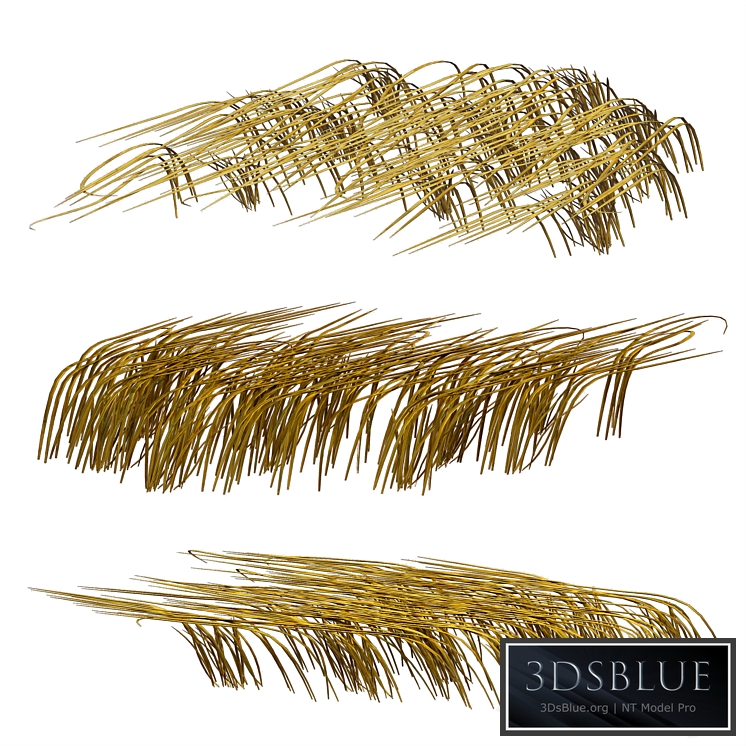 Grass in the water. Water chirp. Water grass.