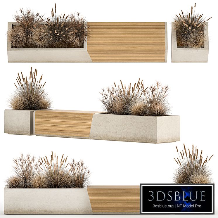 Bench flowerbed for the urban environment in a concrete flowerpot with bushes of reeds and dried flowers, dry grass. 1142.