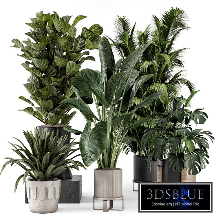 Indoor Plants in Ferm Living Bau Pot Large - Set 1188