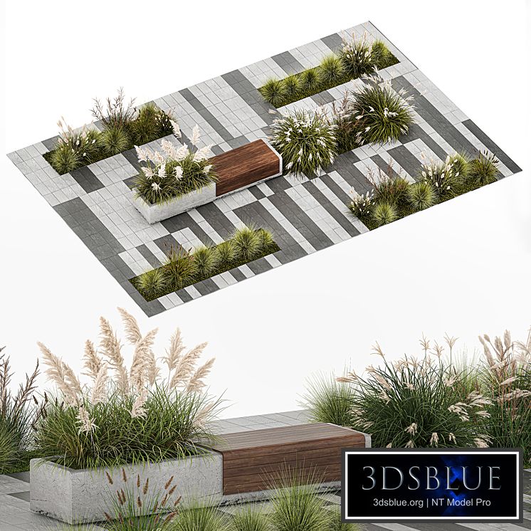 Flower bed with feather grass bushes, Miscanthus, Cortaderia and white pampas grass, bench and bench paving slabs. 1147.