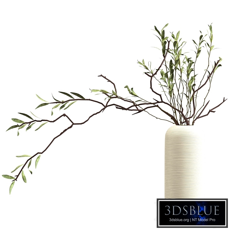 Bouquet of branches with leaves