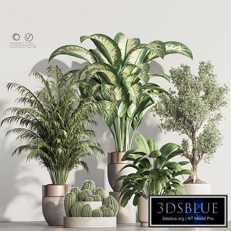 Indoor Plant Set 88
