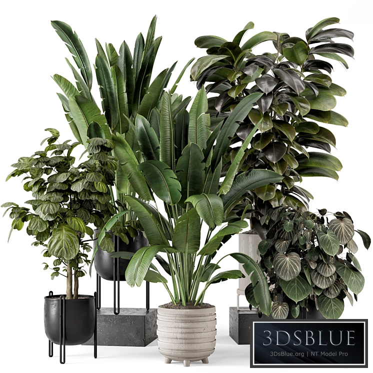 Indoor Plants in Ferm Living Bau Pot Large - Set 1208