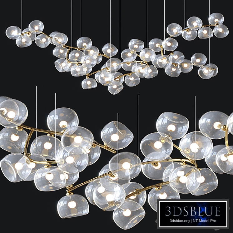 Giopato & Coombes Maehwa 51