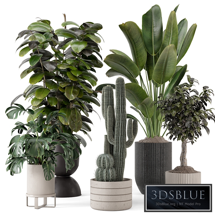Indoor Plants in Ferm Living Bau Pot Large - Set 1220
