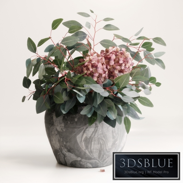 Bouquet of Eucalyptus with Hydrangea