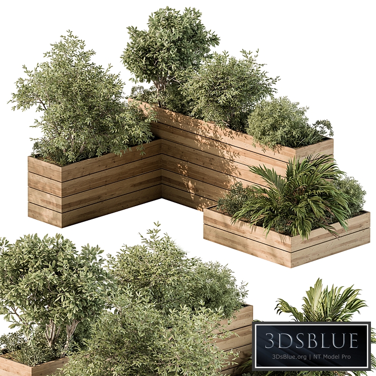 Plant Box - Outdoor Plants 487