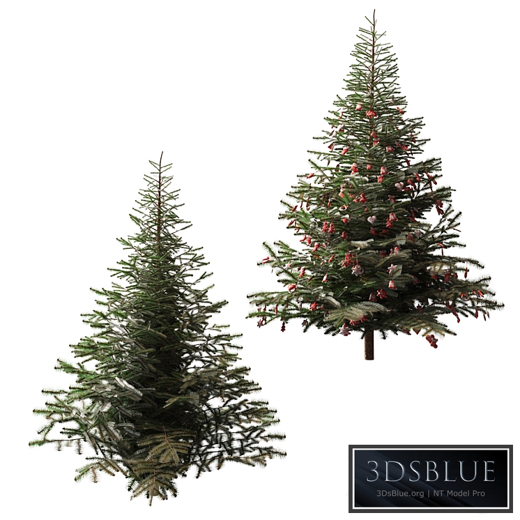 Christmas tree and Christmas tree