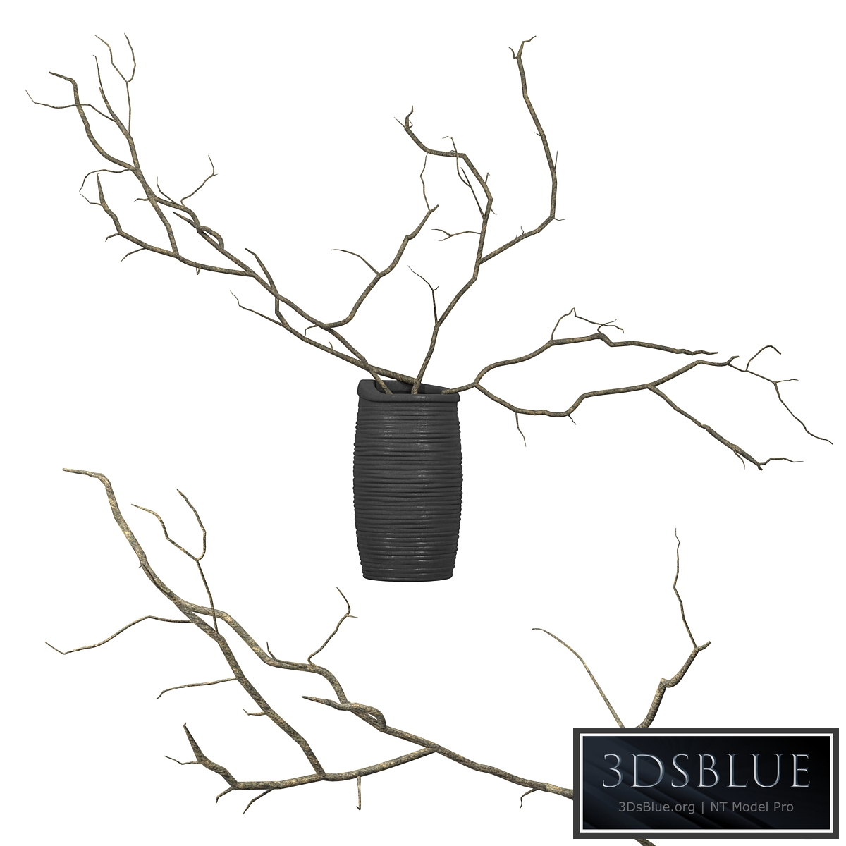 Branches in a vase T01