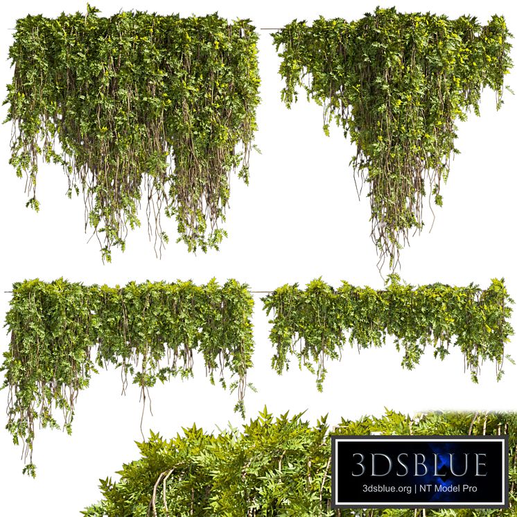 Collection plant vol 425