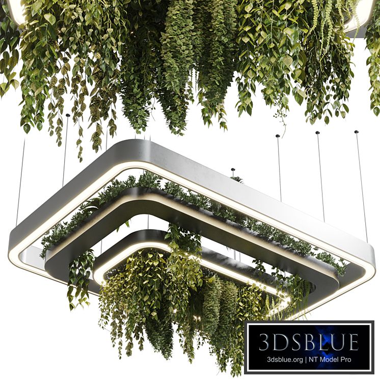 pot light pendant plant light hanging 11