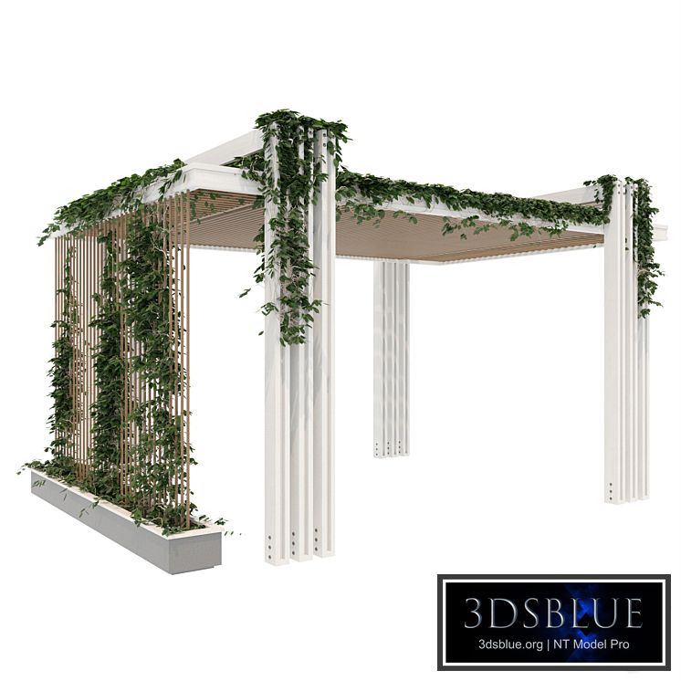 Pergola 17