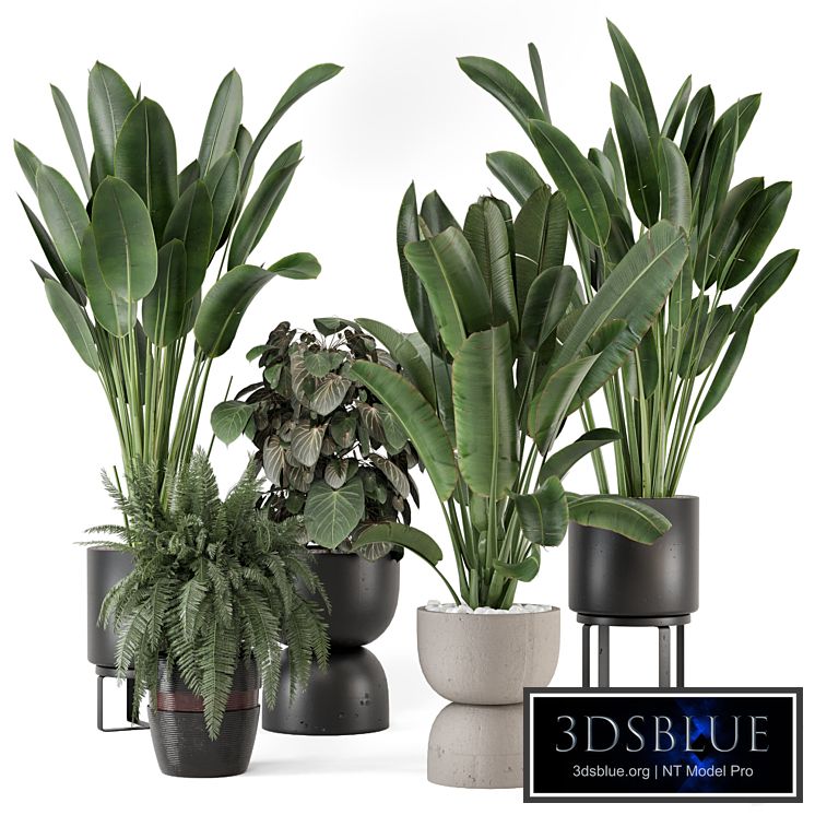 Indoor Plants in Ferm Living Bau Pot Large - Set 1256