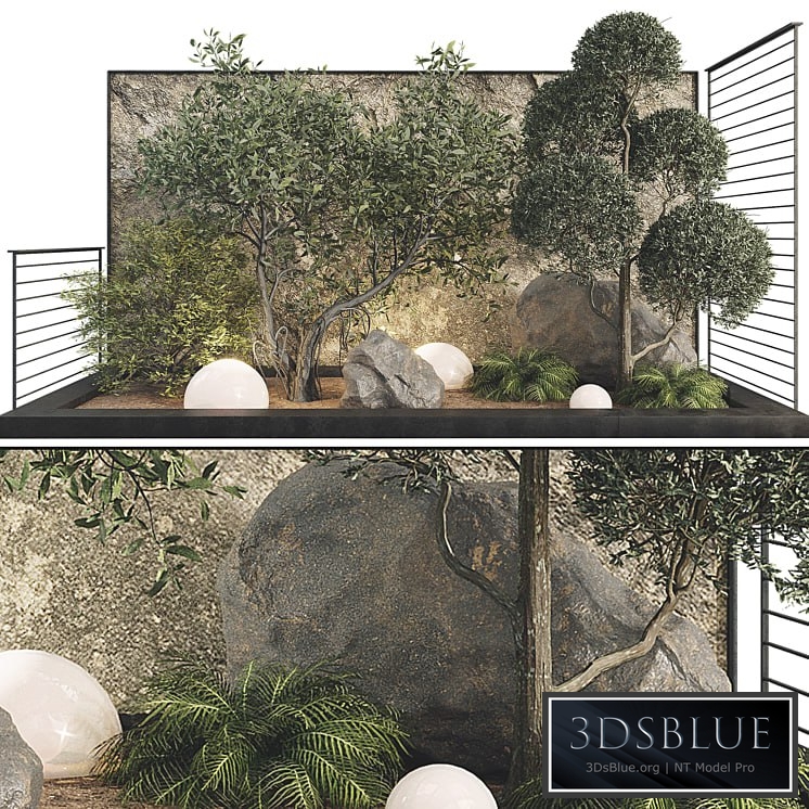 Plant Collection Set 36