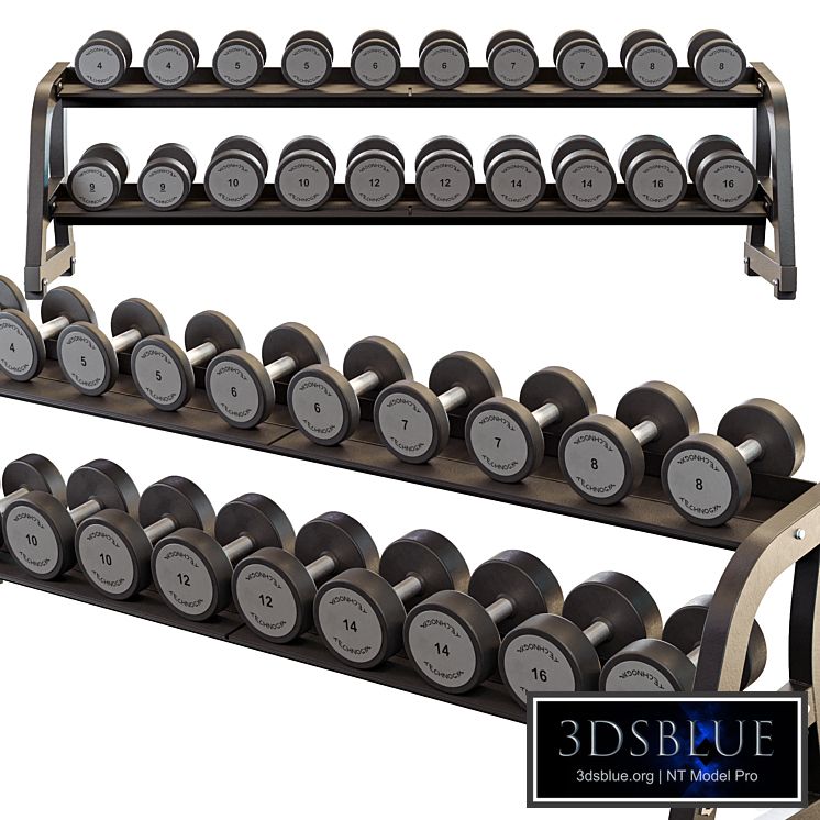 Technogym Two Tier Dumbbell Rack