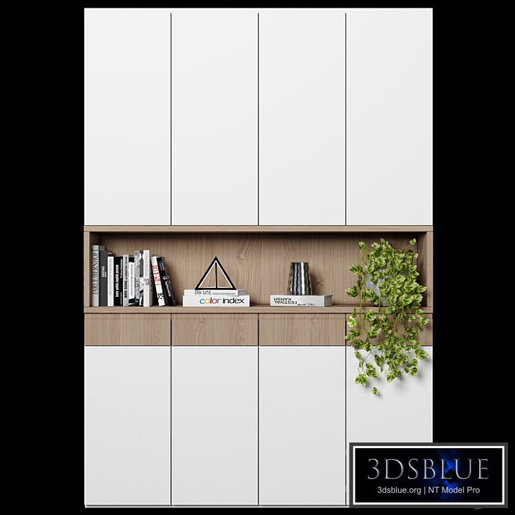 Cabinet with shelves 63