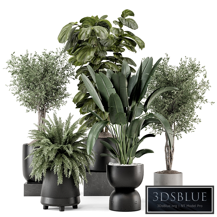 Indoor Plants in Ferm Living Bau Pot Large - Set 1277