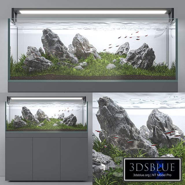 Aquascape aquarium Iwagumi
