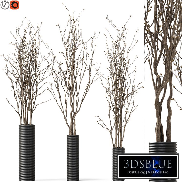 decorative branch 07