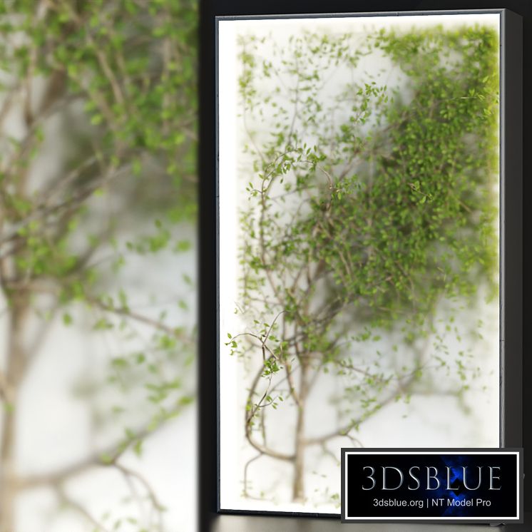 Plants in the light box vol 176